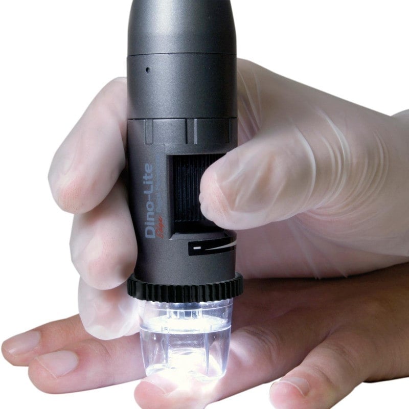 Dino-Lite CapillaryScope