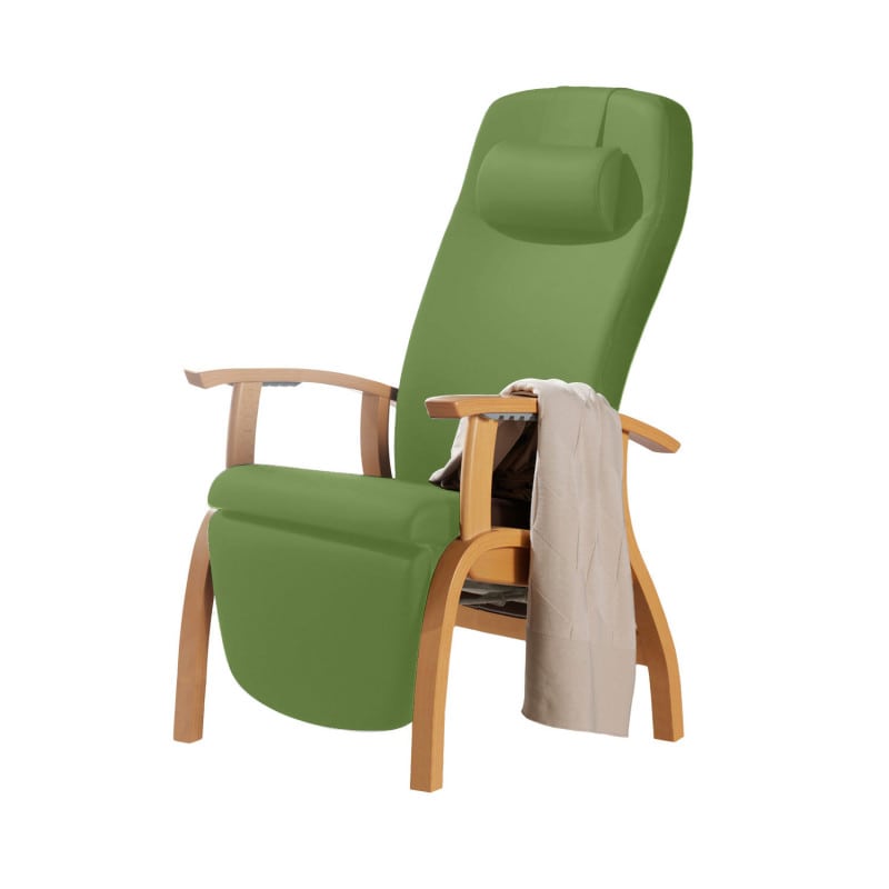 Holz-Fero e-move