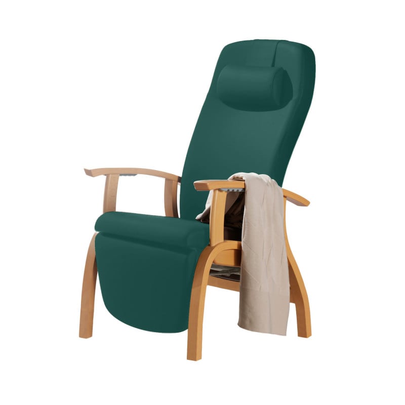 Holz-Fero e-move