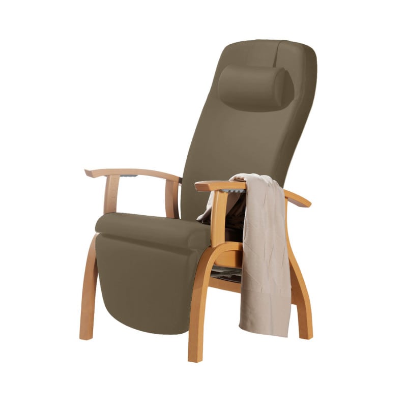 Holz-Fero e-move