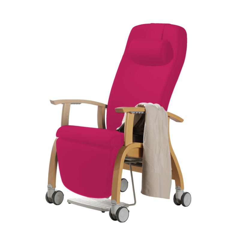 Holz-Fero e-move