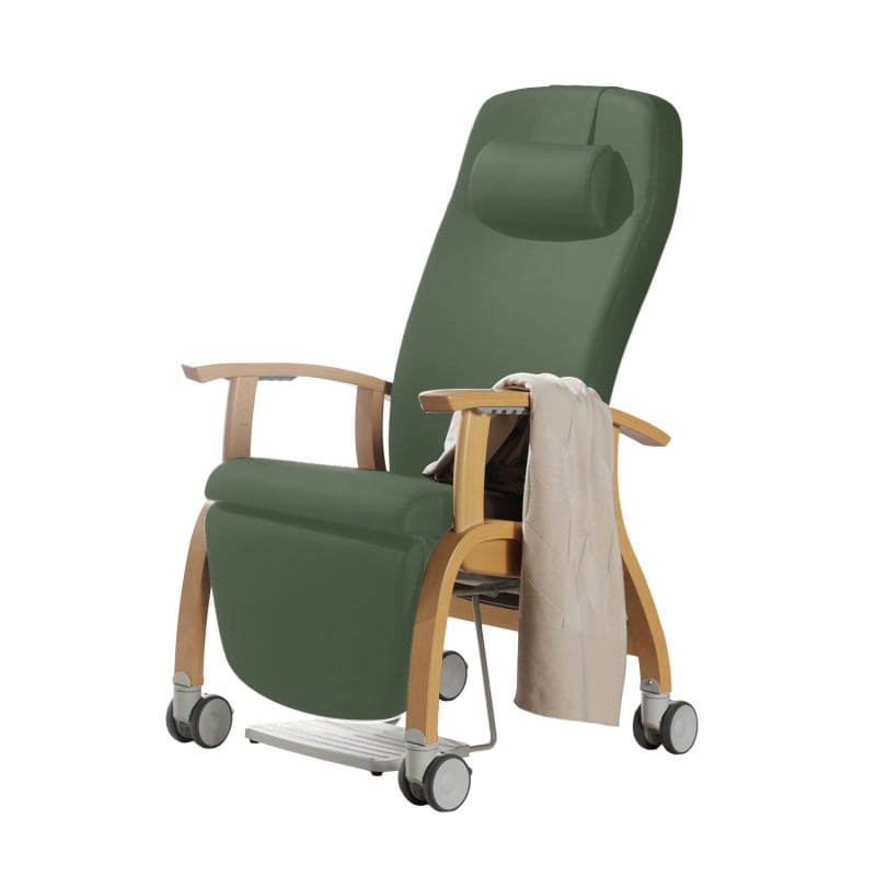 Holz-Fero e-move