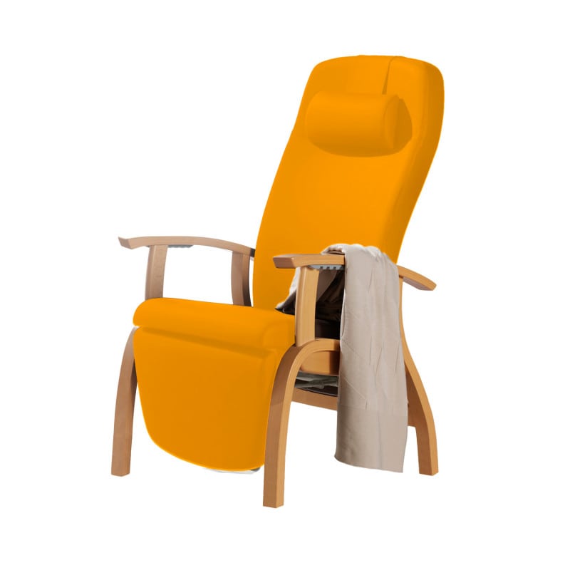 Holz-Fero e-move