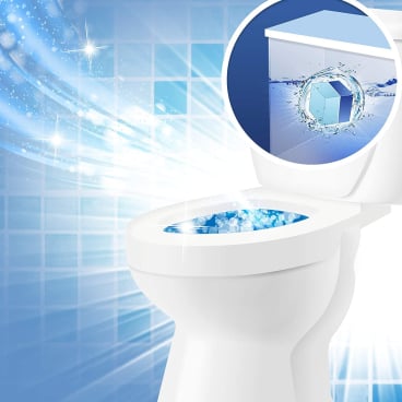 WC Frisch Duo-Aktiv Reinigungswürfel 2in1