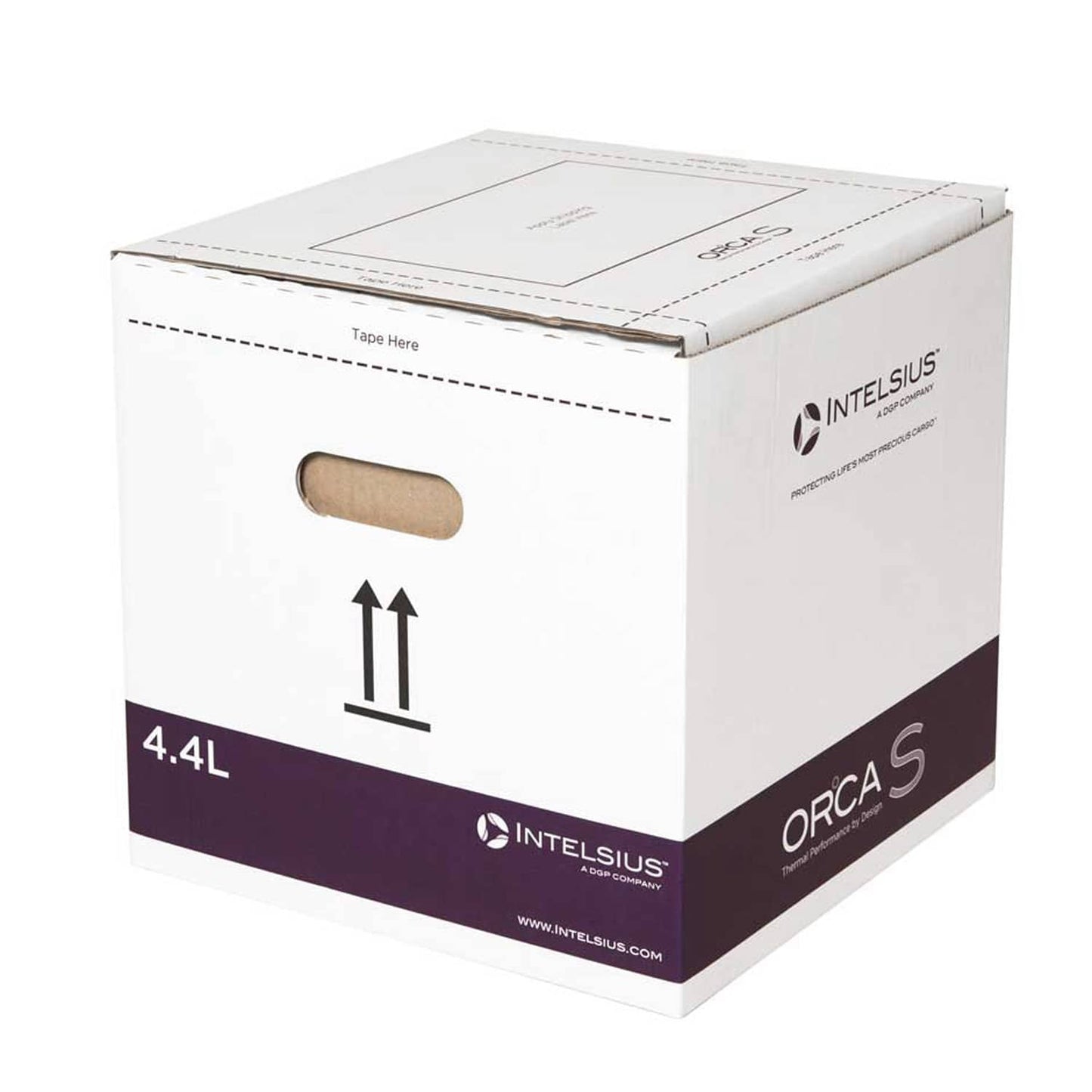 Intelsius - ORCA Dry Ice - M