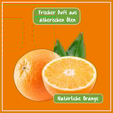 POLIBOY Bio Küchen Reiniger