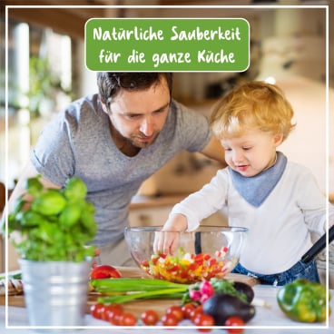 POLIBOY Bio Küchen Reiniger