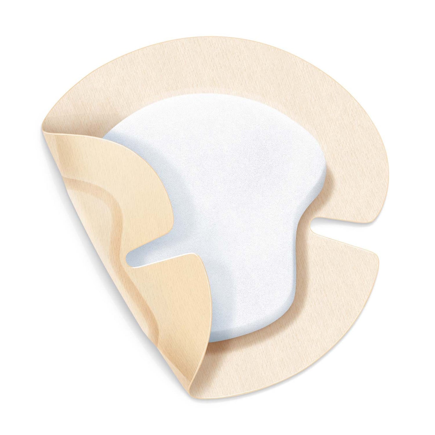 PermaFoam Classic Concave