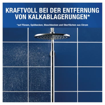 Antikal Professional Desinfizierender Kalkreiniger
