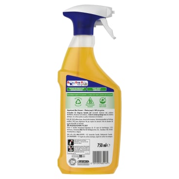 Procter & Gamble - Mr. Proper Professional, Kraftvoller Fettlöser, HACCP