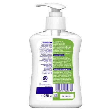 Reckitt Benckiser GmbH - SAGROTAN Flüssigseife, 250 ml - Apfel & Jasmin
