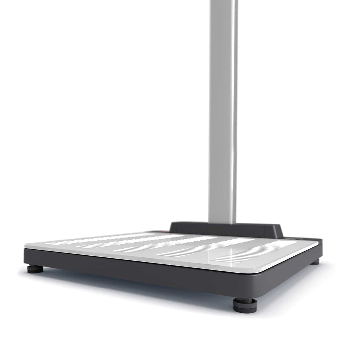 seca 655 Scale-up Ultraschall-Messstation
