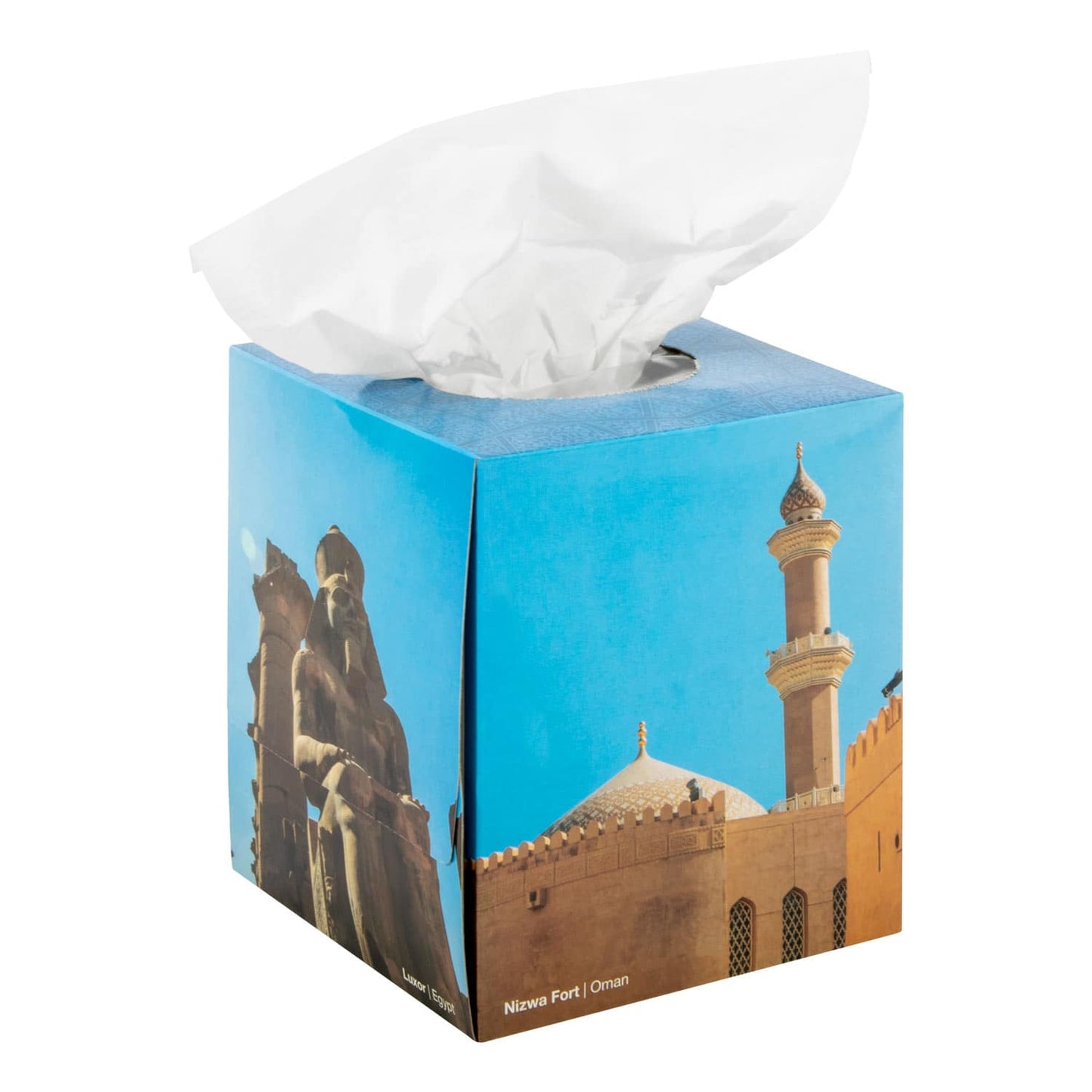 Teqler Tissue Box