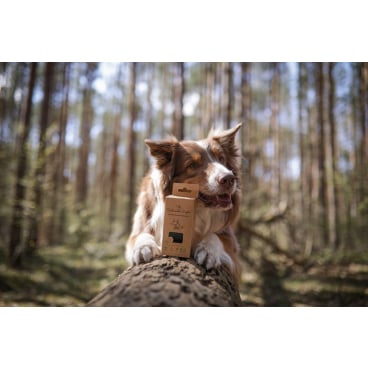 TSP Bio Hundekotbeutel Comfort, schwarz, 23 x 33 cm