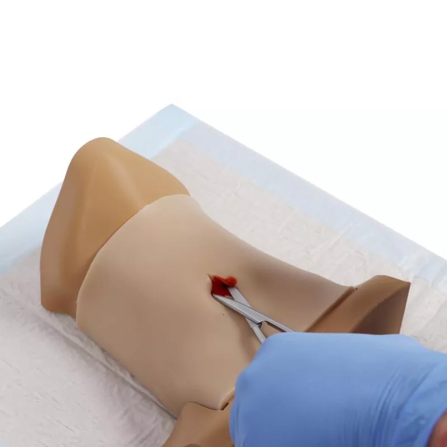 Crico Chris – Koniotomie Task Trainer | EAN 4250395328494 | günstig kaufen