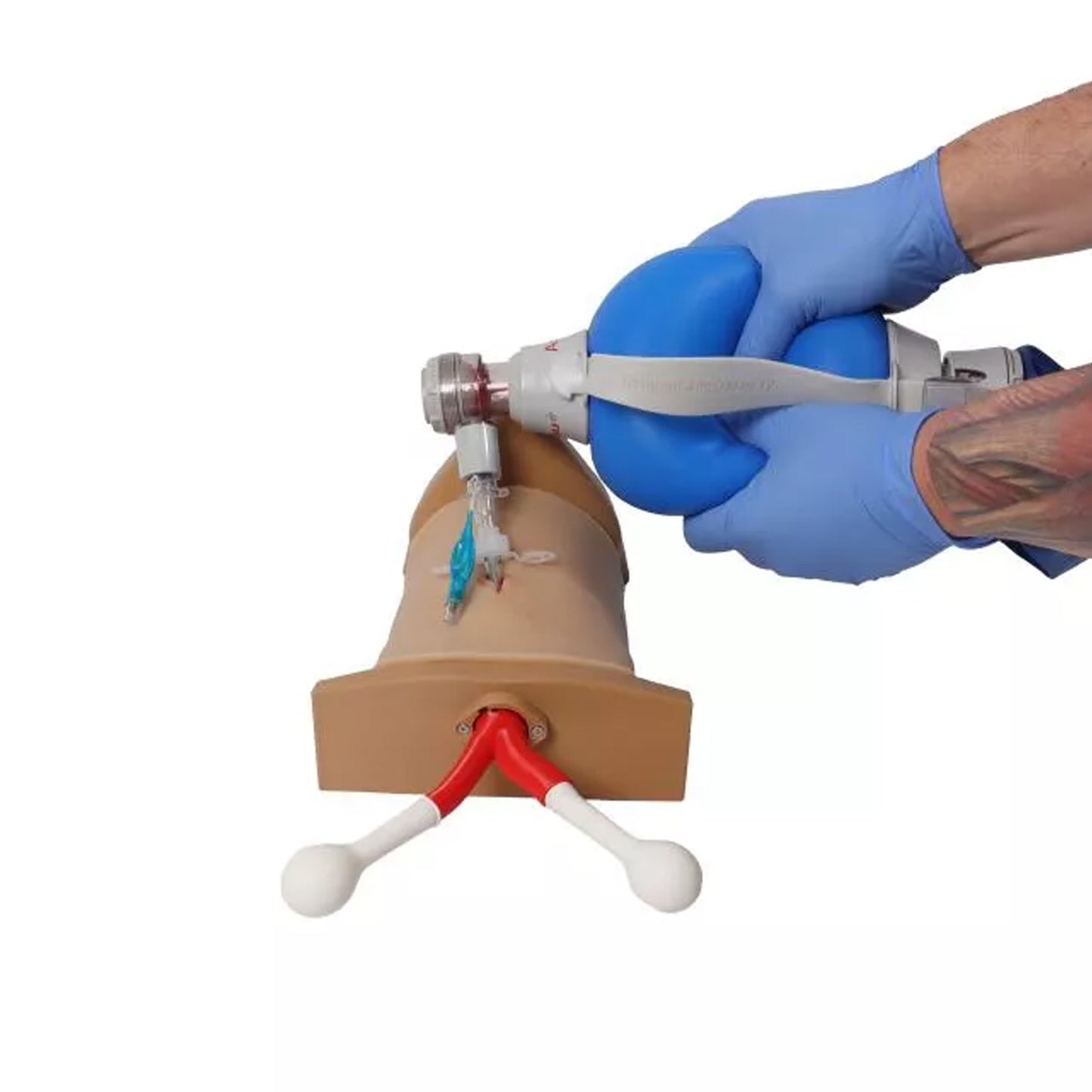 Crico Chris – Koniotomie Task Trainer | EAN 4250395328494 | günstig kaufen