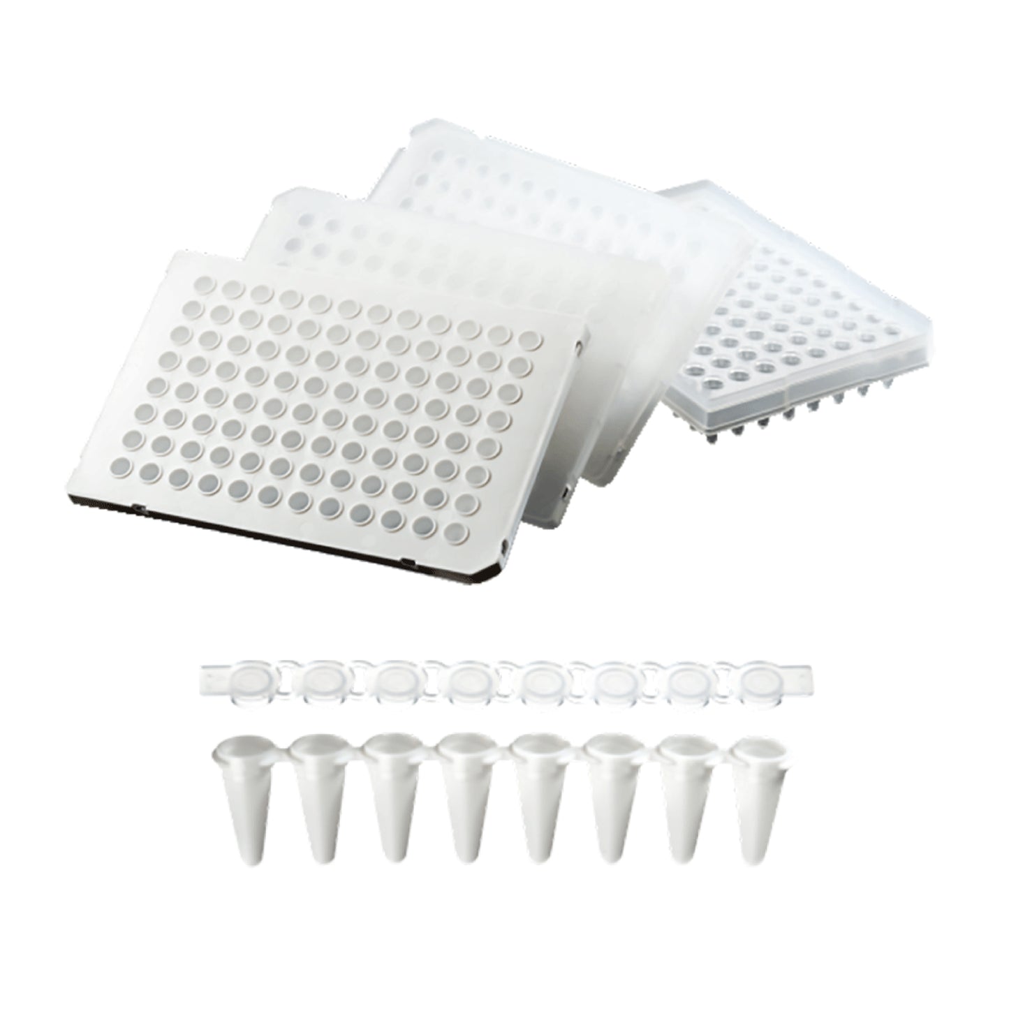 iFUGE CS2P NXT Zentrifuge | günstig kaufen