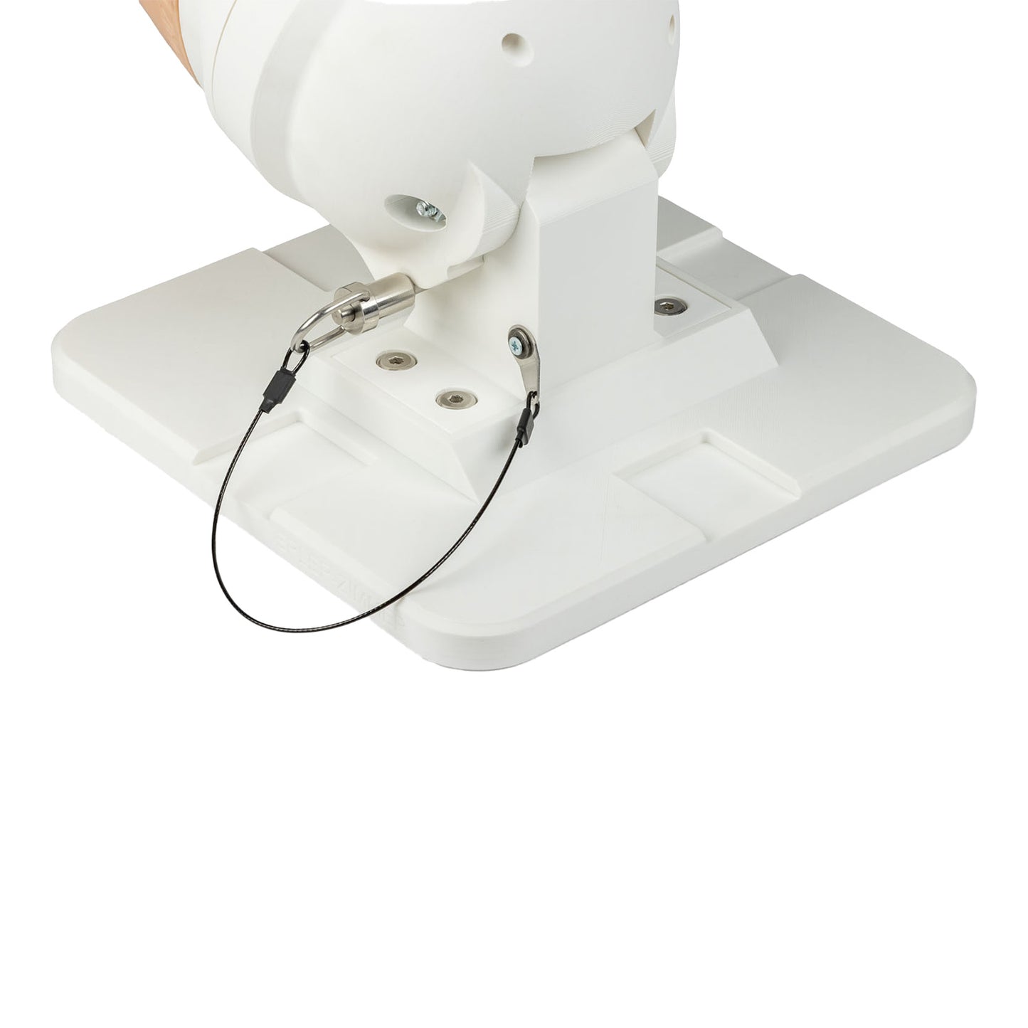 Lena Leg Anatomisches Beinmodell | EAN 4250395330596 | günstig kaufen