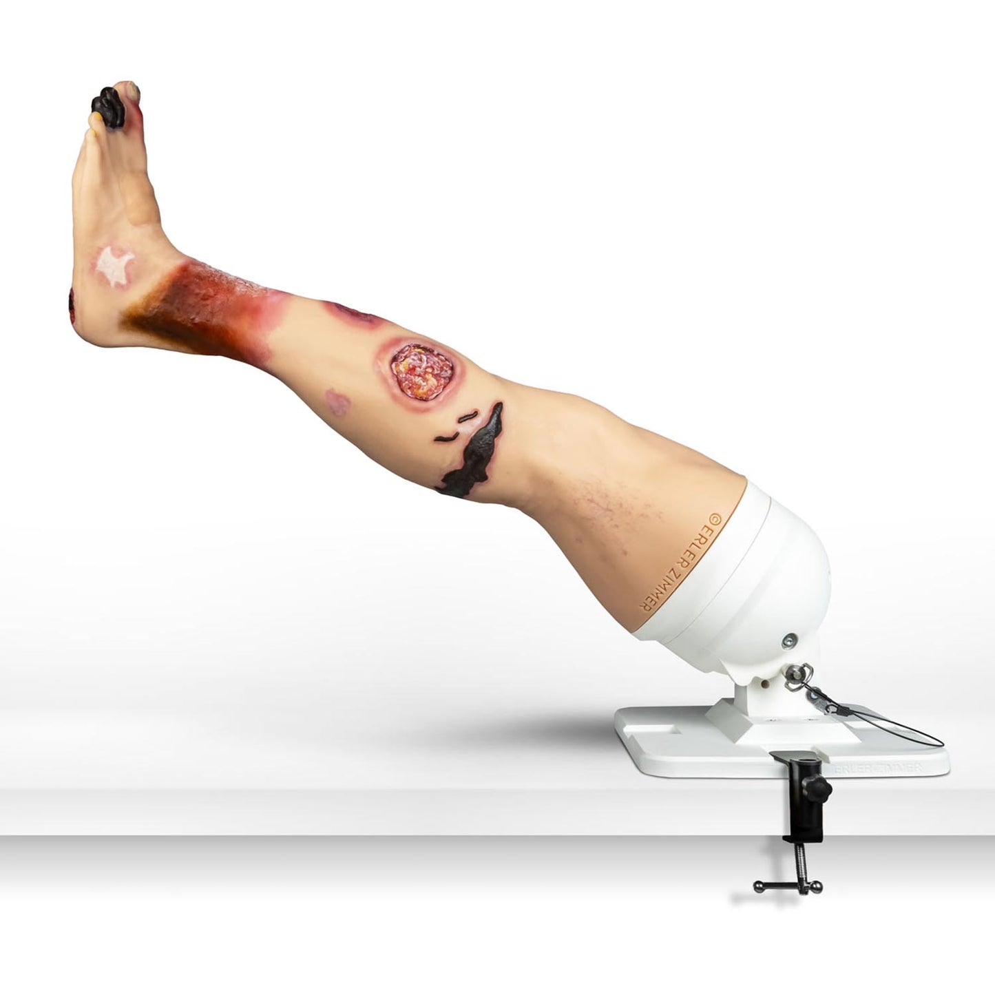 Lena Leg Anatomisches Beinmodell | EAN 4250395330596 | günstig kaufen