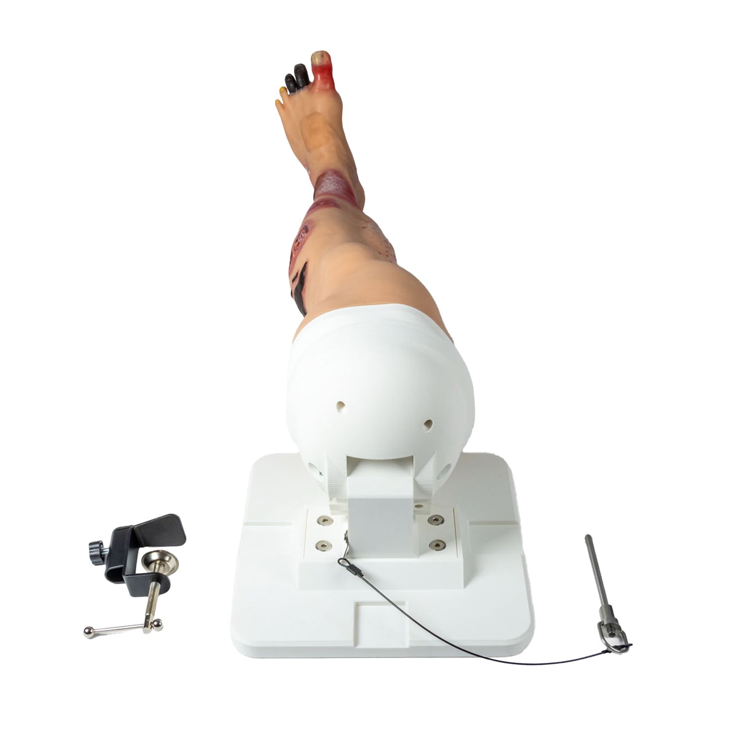 Lena Leg Anatomisches Beinmodell | EAN 4250395330596 | günstig kaufen