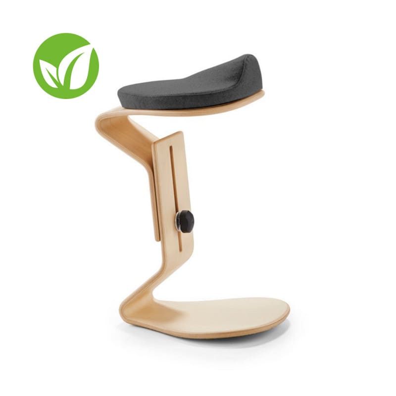 Ercolino Hocker