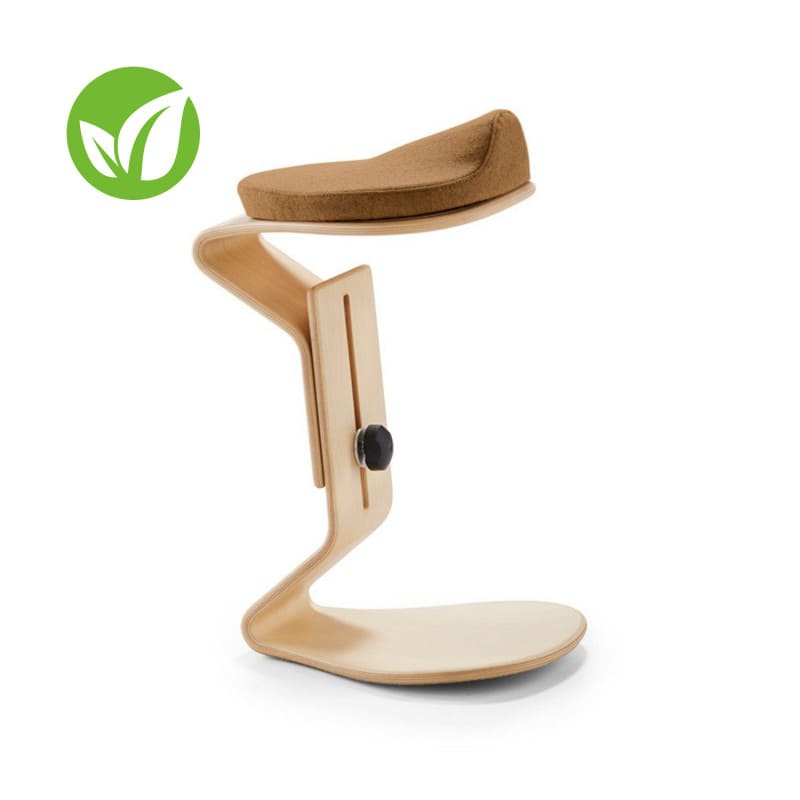 Ercolino Hocker