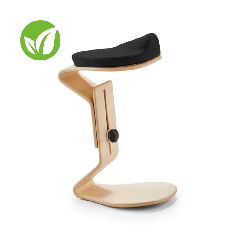 Ercolino Hocker