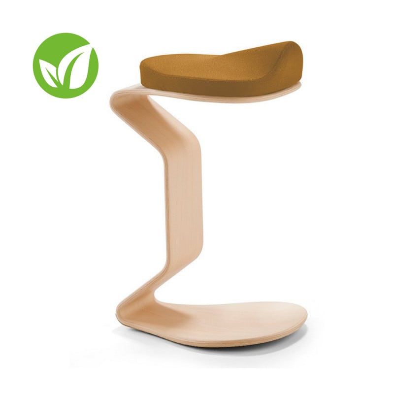 Ercolino Hocker