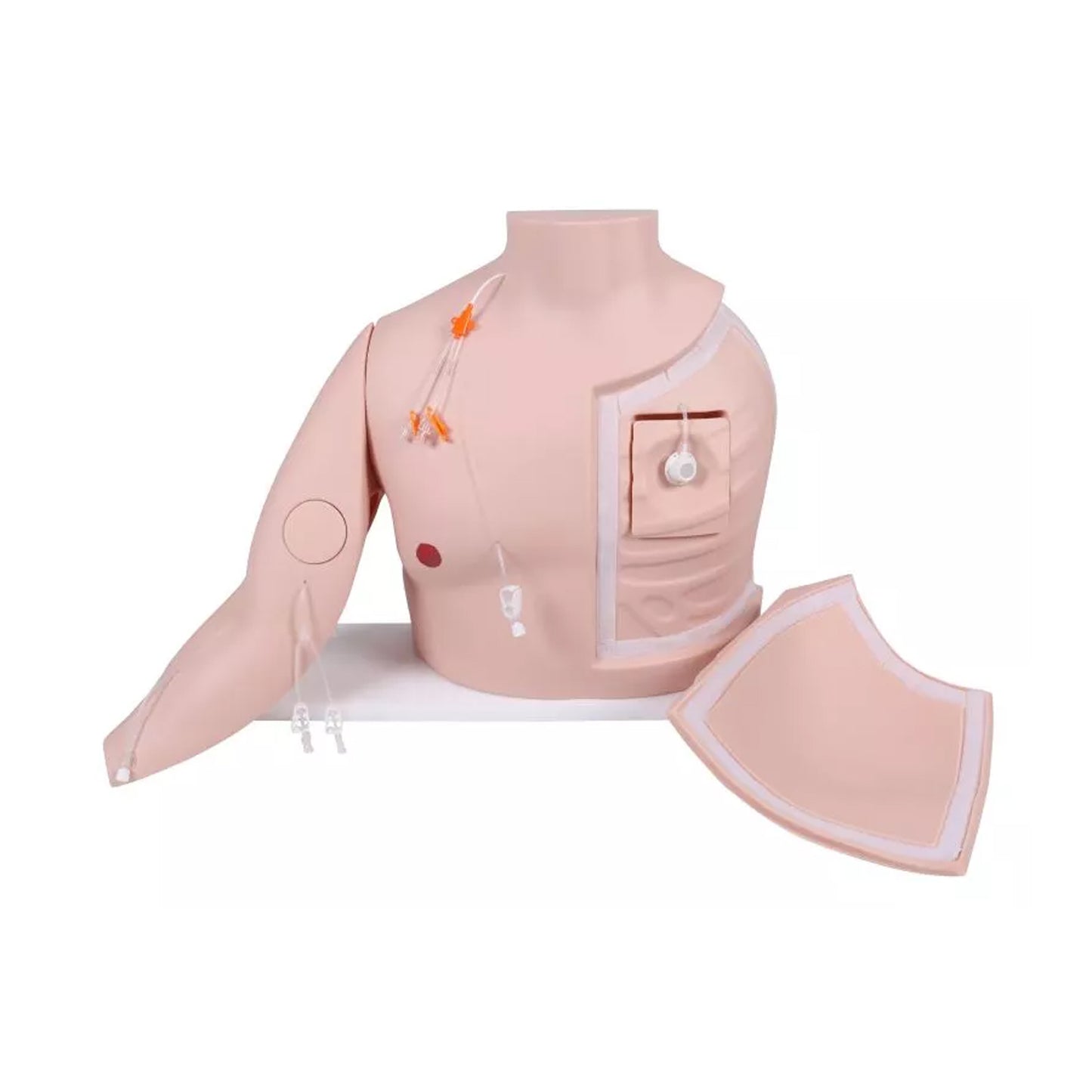 Vascular Victor - Port und ZVK Trainer | EAN 4250395329095 | günstig kaufen