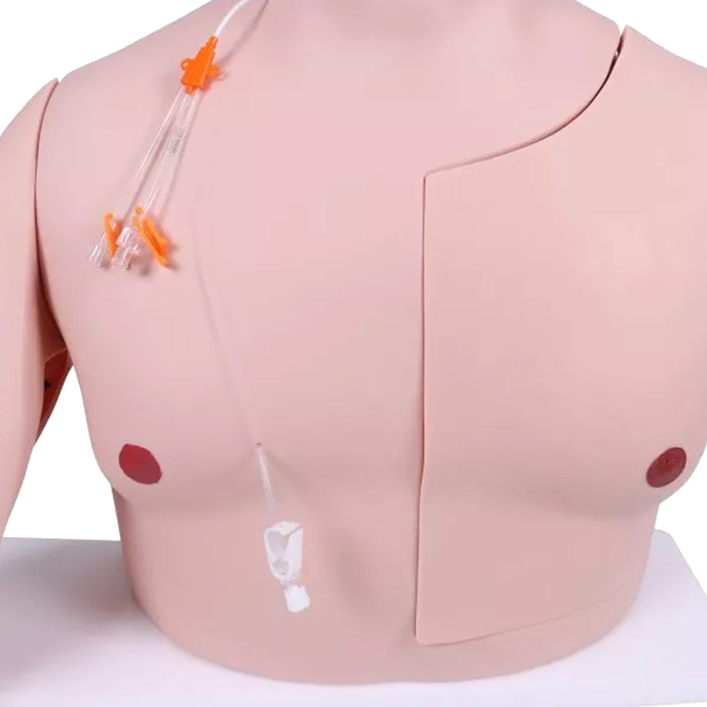 Vascular Victor - Port und ZVK Trainer | EAN 4250395329095 | günstig kaufen