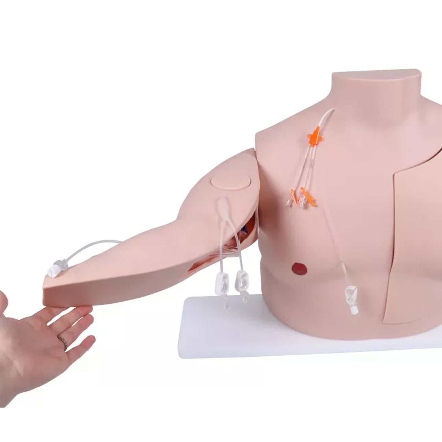 Vascular Victor - Port und ZVK Trainer | EAN 4250395329095 | günstig kaufen
