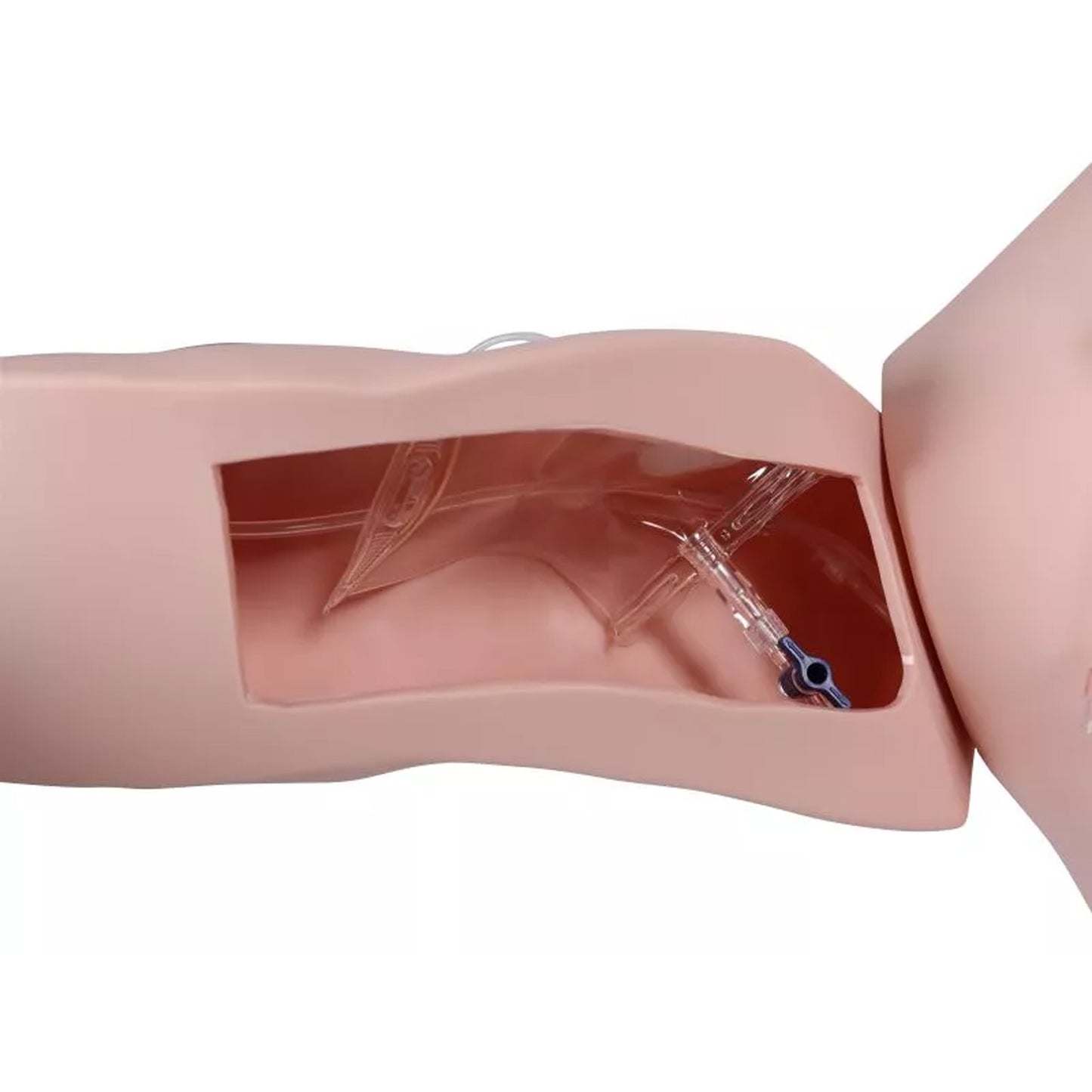 Vascular Victor - Port und ZVK Trainer | EAN 4250395329095 | günstig kaufen