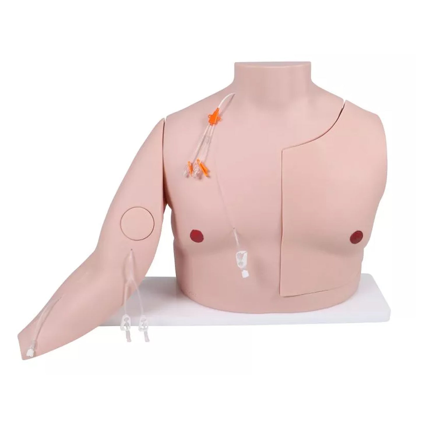 Vascular Victor - Port und ZVK Trainer | EAN 4250395329095 | günstig kaufen