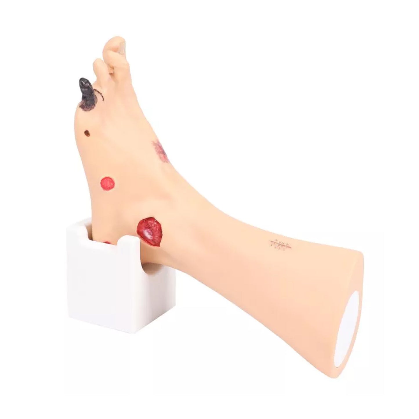 Wanda Wundenfuß Fuß-Simulator | EAN 4250395328487 | günstig kaufen