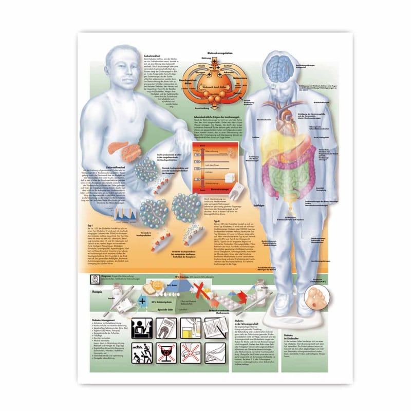 Lehrtafel Diabetes