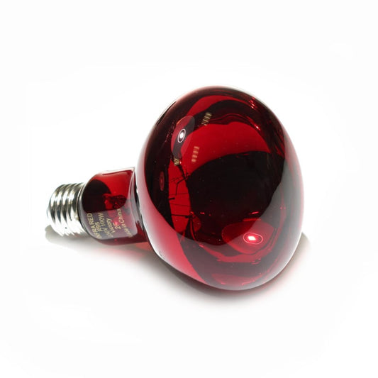 Leuchtmittel für Infrarotlampe
