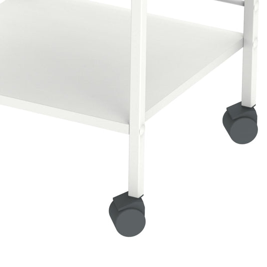 Vielzweckwagen, 83x 60 cm (H x B)