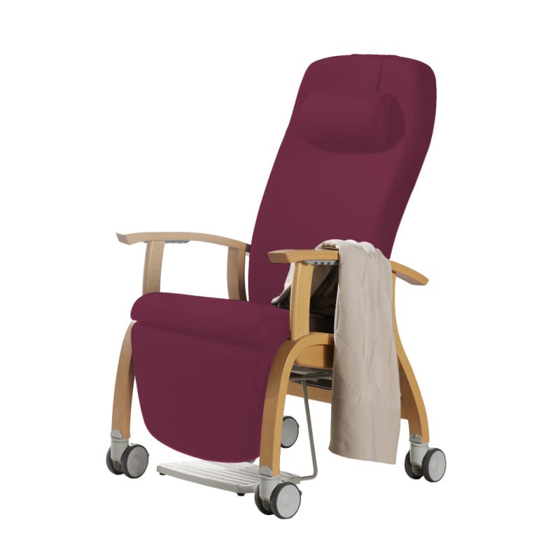 Holz-Fero e-move
