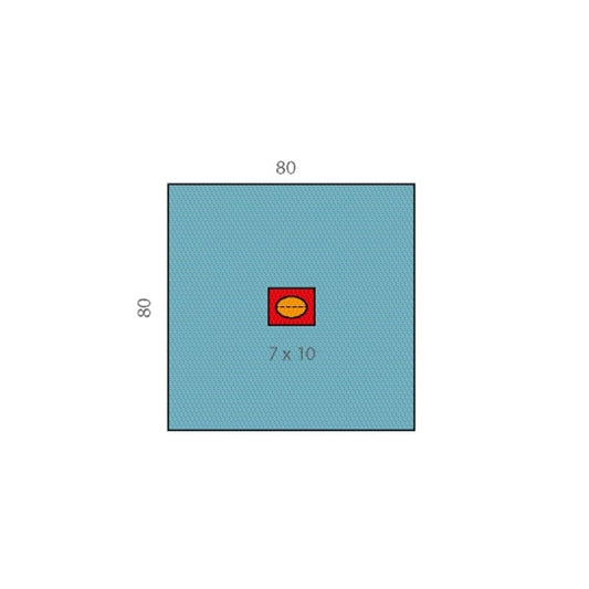 Raucodrape® PRO Augentücher