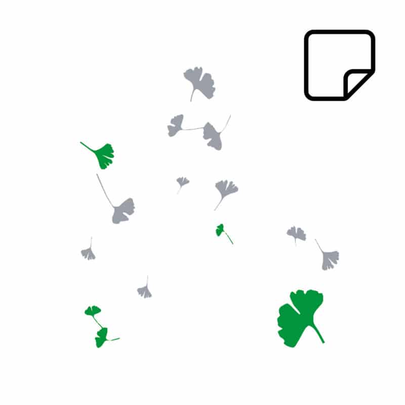 Ginko-Piktogramm