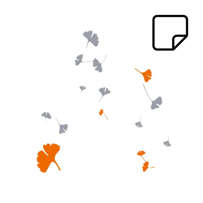 Ginko-Piktogramm