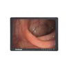 24" LCD Farb-Monitor